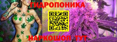 молекула духа Новодвинск