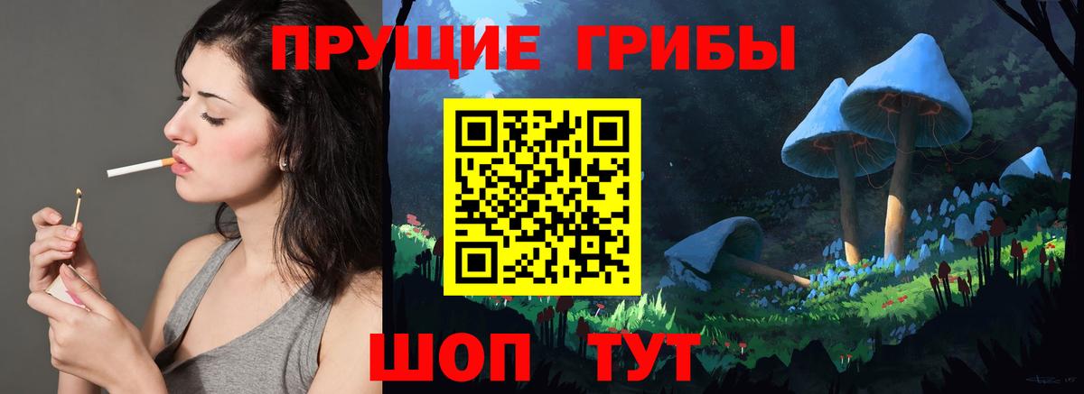 Сергиев Посад  Псилоцибиновые грибы MAGIC MUSHROOMS  Вход с VPN 
